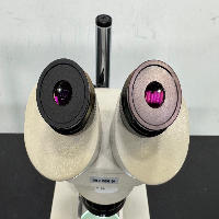 Fisher Scientific Inverted Microscope image 3